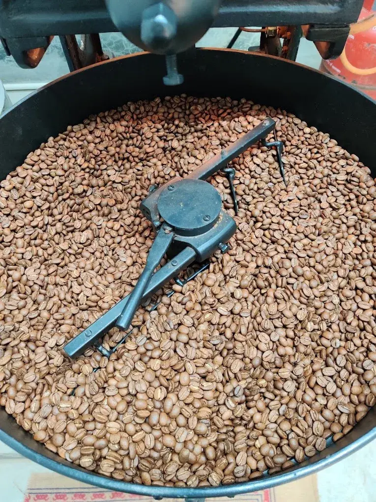 Koraput HSD Roasted Coffee estate image 2