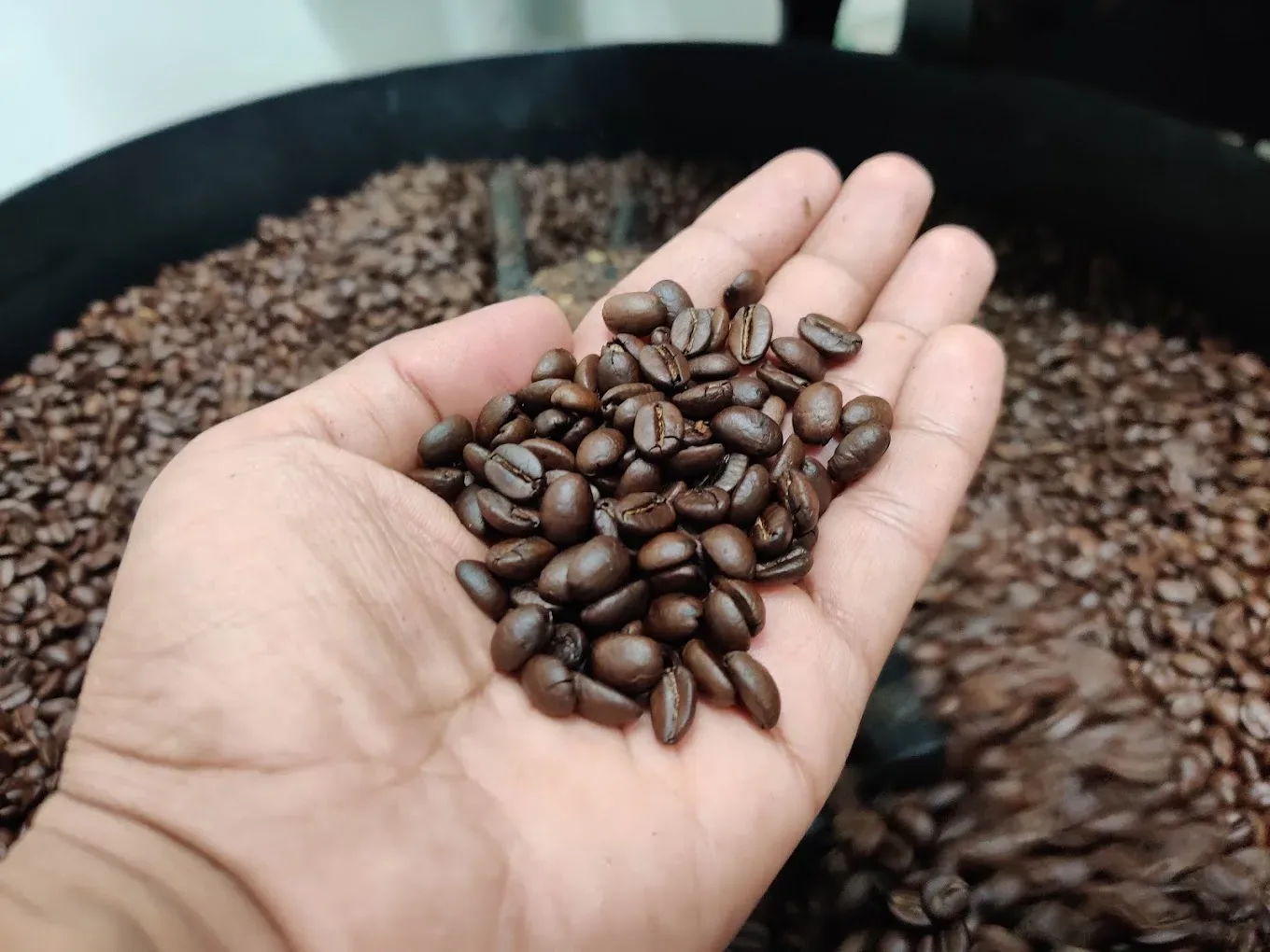 Koraput Espresso Blend Roasted Coffee estate image 1