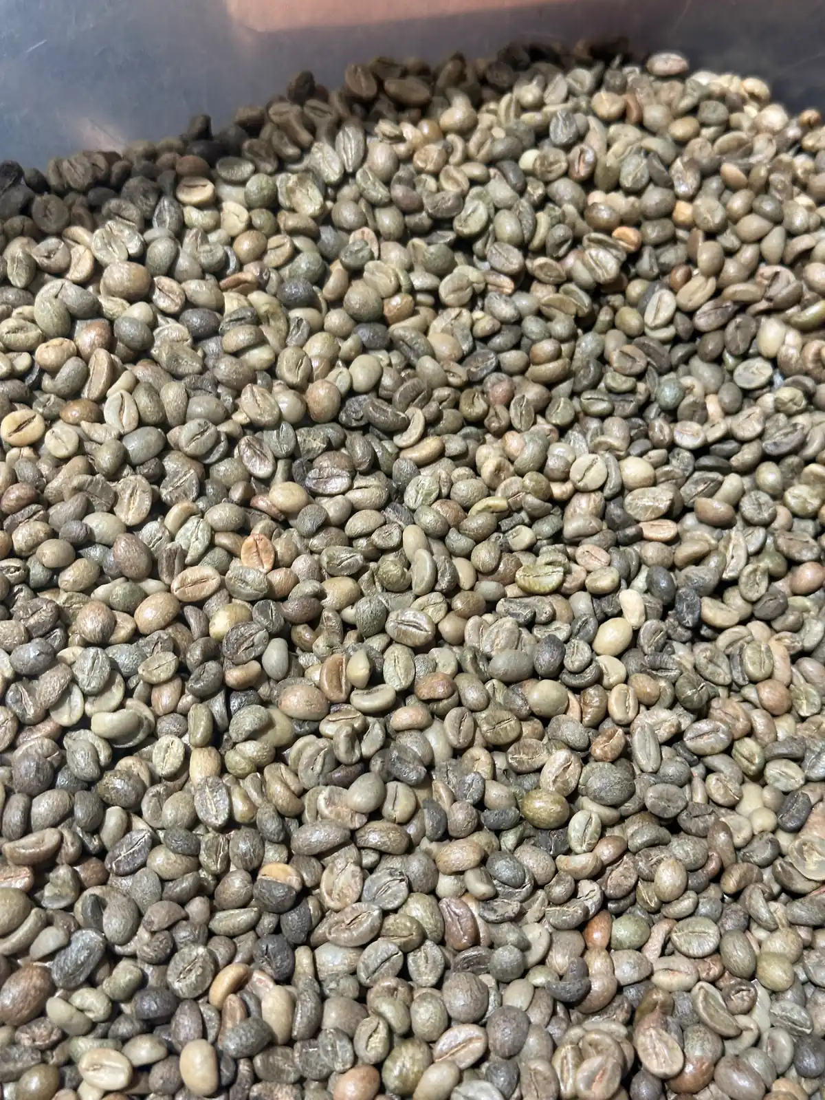 Tirap Robusta Naturals Green Coffee estate image 1